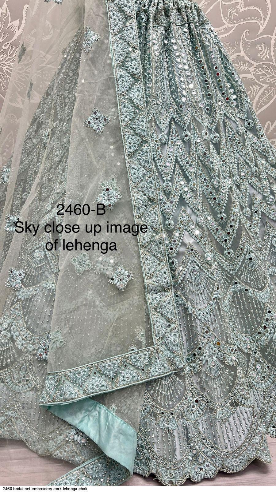 Party Wear Lehenga Choli D.No 2460 - Anant Exports