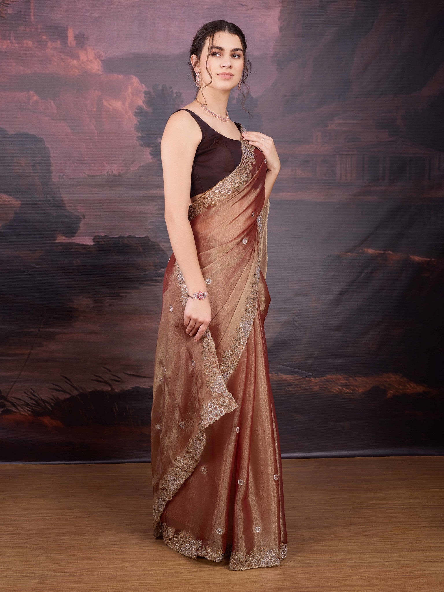 Brown party wear saree with matching blouse
