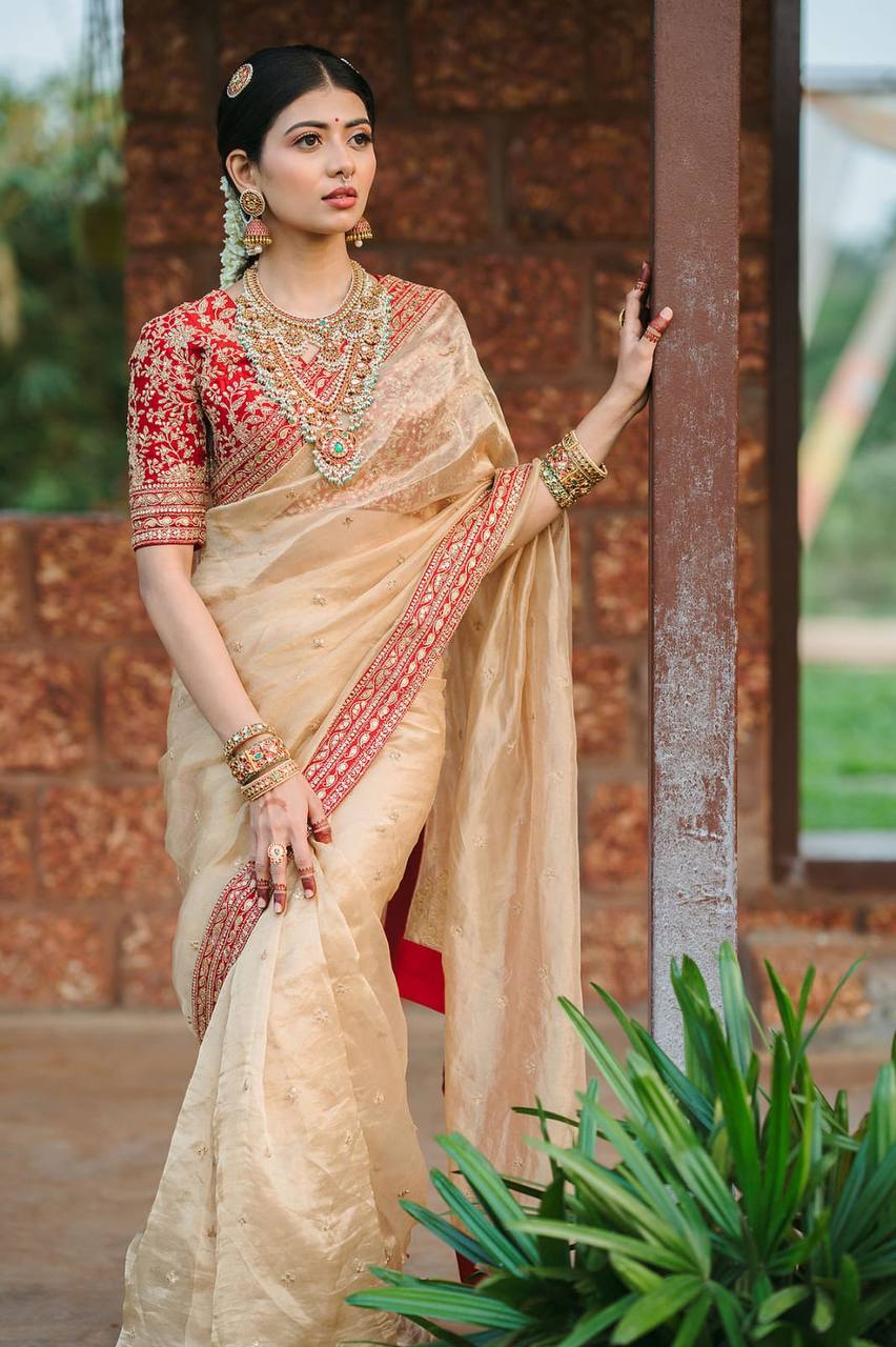Jimmy Choo Saree