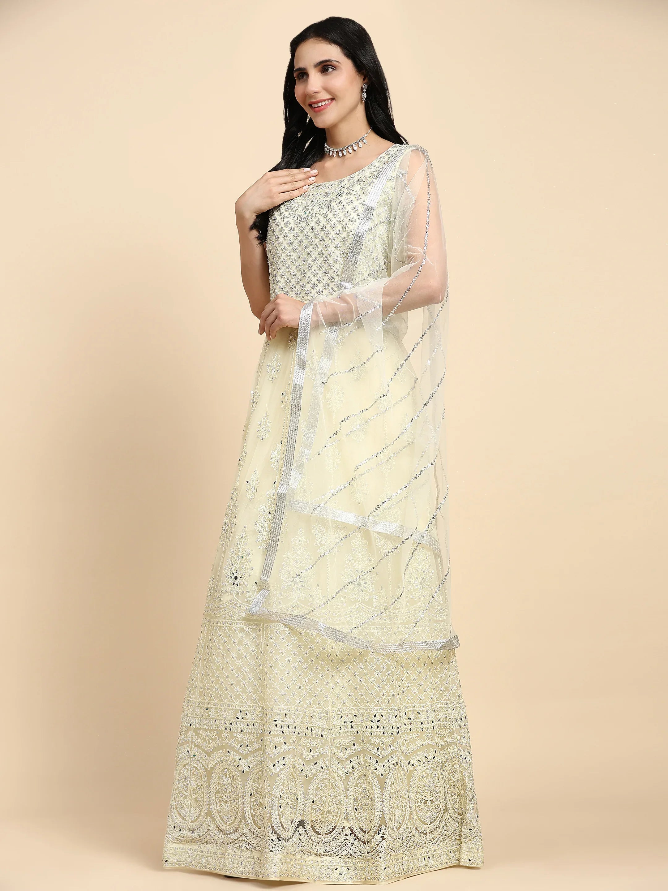Party Wear Gown