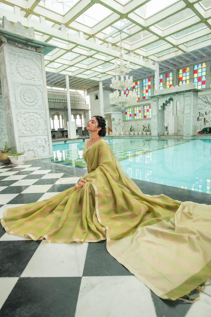Beautiful Designer Pure Linen Saree