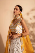 lehenga choli design for ladies