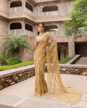 Beautiful Designer Bollywood Soft Mono Butterfly Net Sequence Saree
