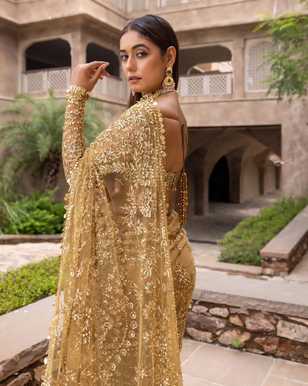 Beautiful Designer Bollywood Soft Mono Butterfly Net Sequence Saree