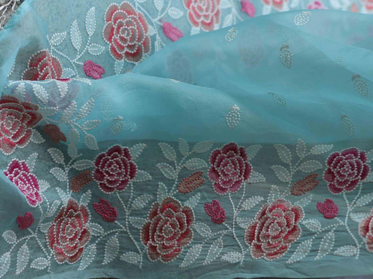 Organza Saree