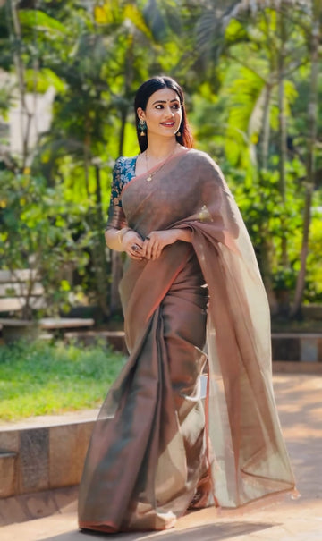 Tissue Silk Saree