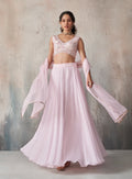 Soft Pink Embroidered Lehenga Set with Sheer Dupatta