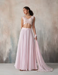 Soft Pink Embroidered Lehenga Set with Sheer Dupatta