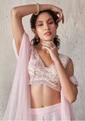 Soft Pink Embroidered Lehenga Set with Sheer Dupatta