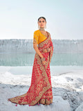 Red Pure Georgette Bandhani Patola Saree & Zari Weaving & Dual Blouses