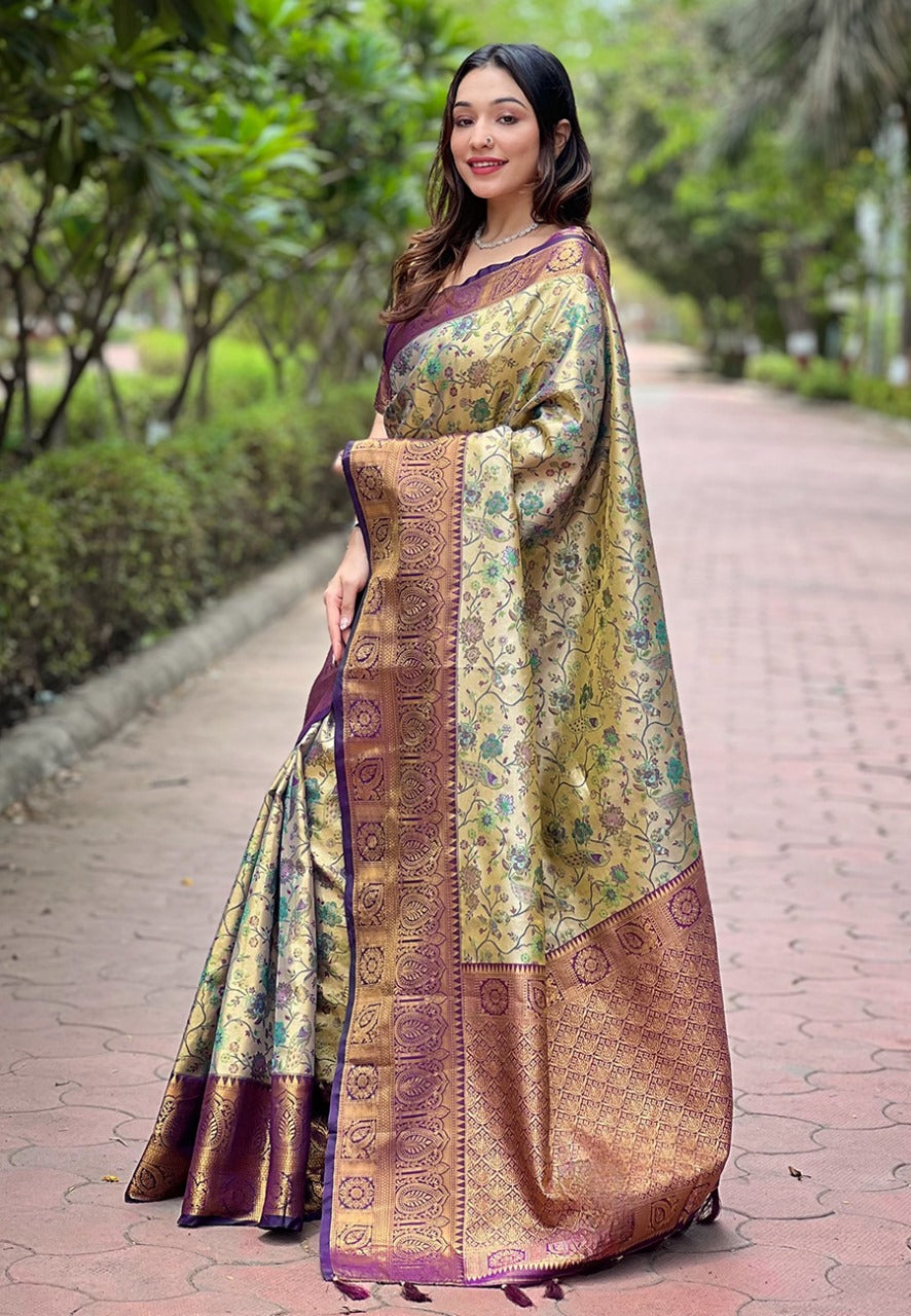 Dharmavaram Silk Saree