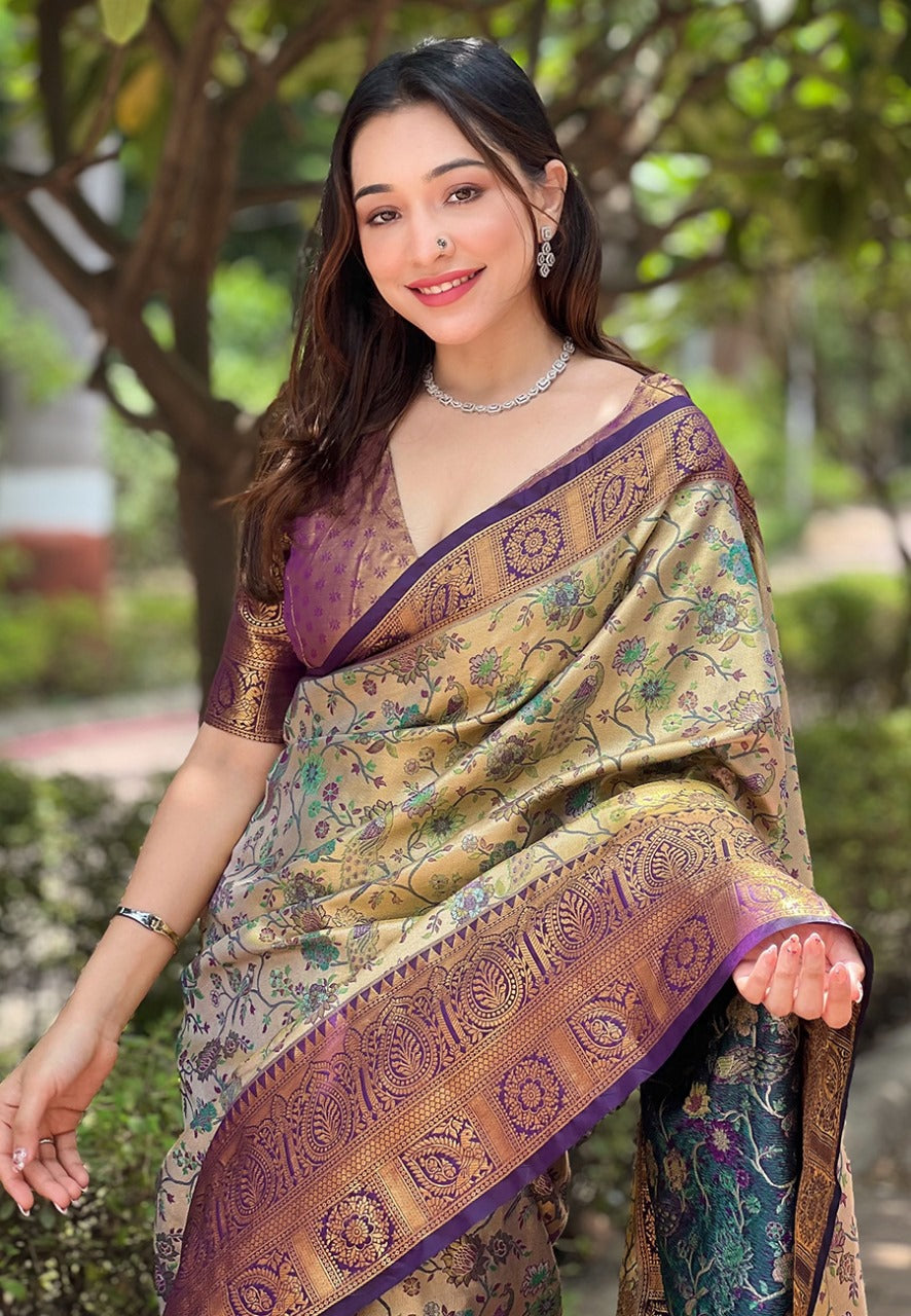 Dharmavaram Silk Saree