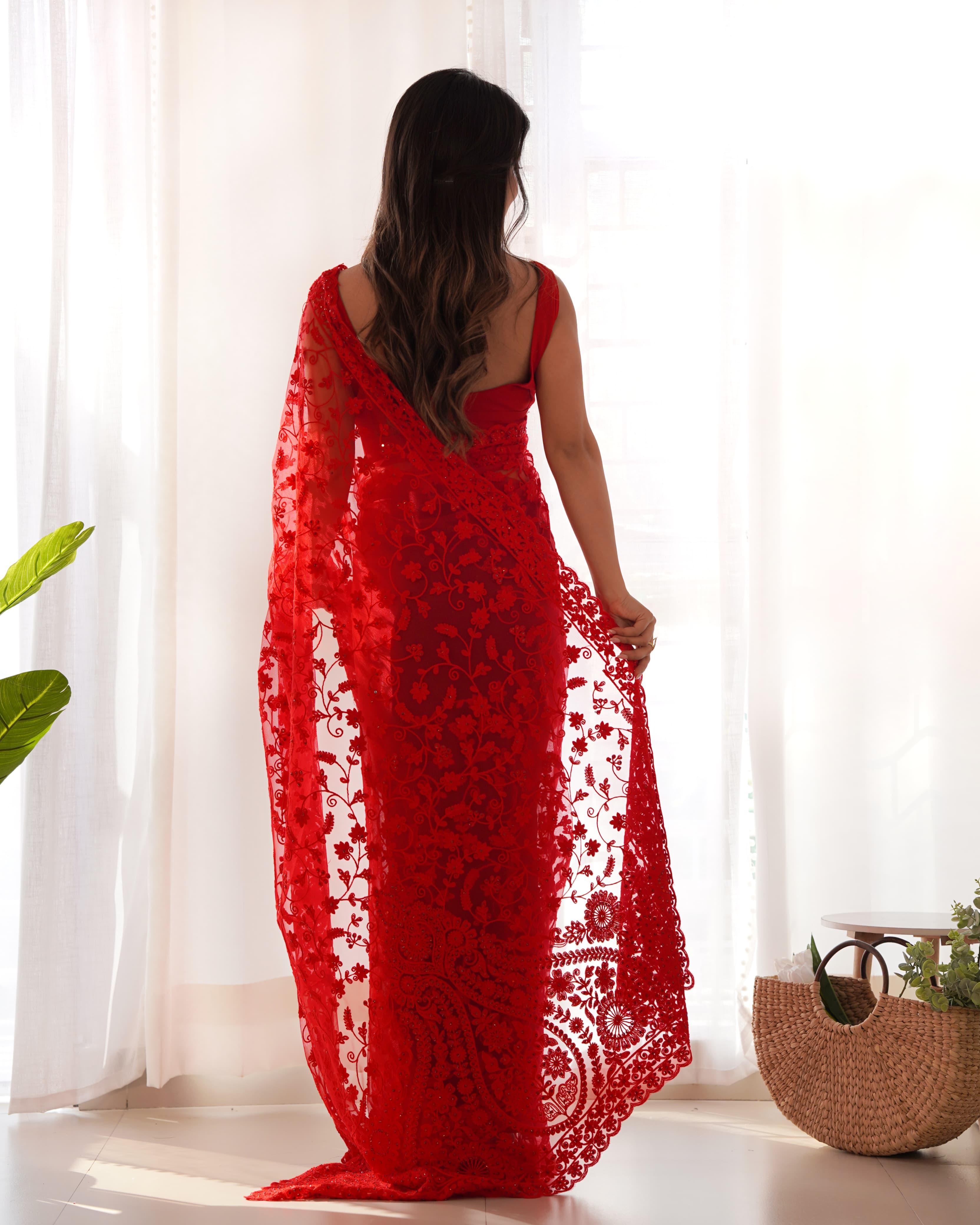 Butterfly Net Saree