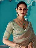 Taupe Grey Glass Tissue Saree with Embroidery