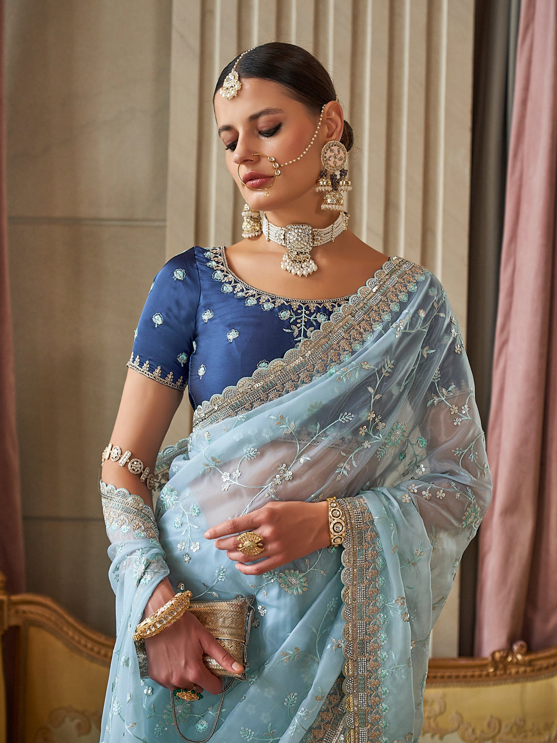 Sky Blue Fancy Tissue Saree with Embroidered Floral Details
