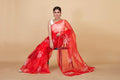 Organza Saree