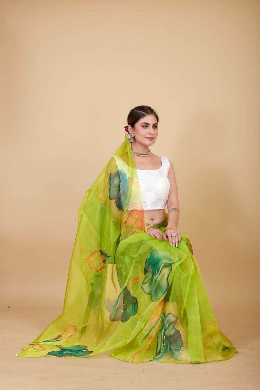 Organza Saree