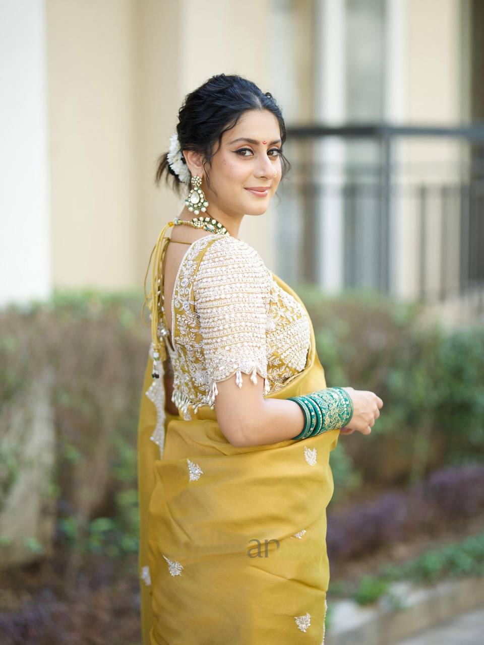 Sequins Saree