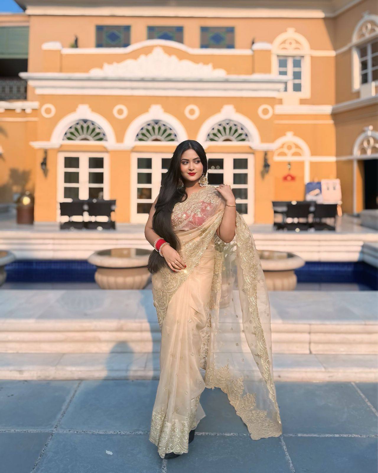 Sequins Saree
