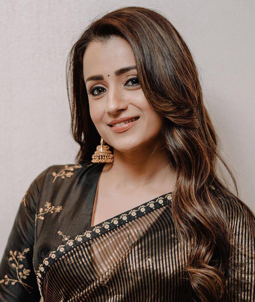 Sequins Saree
