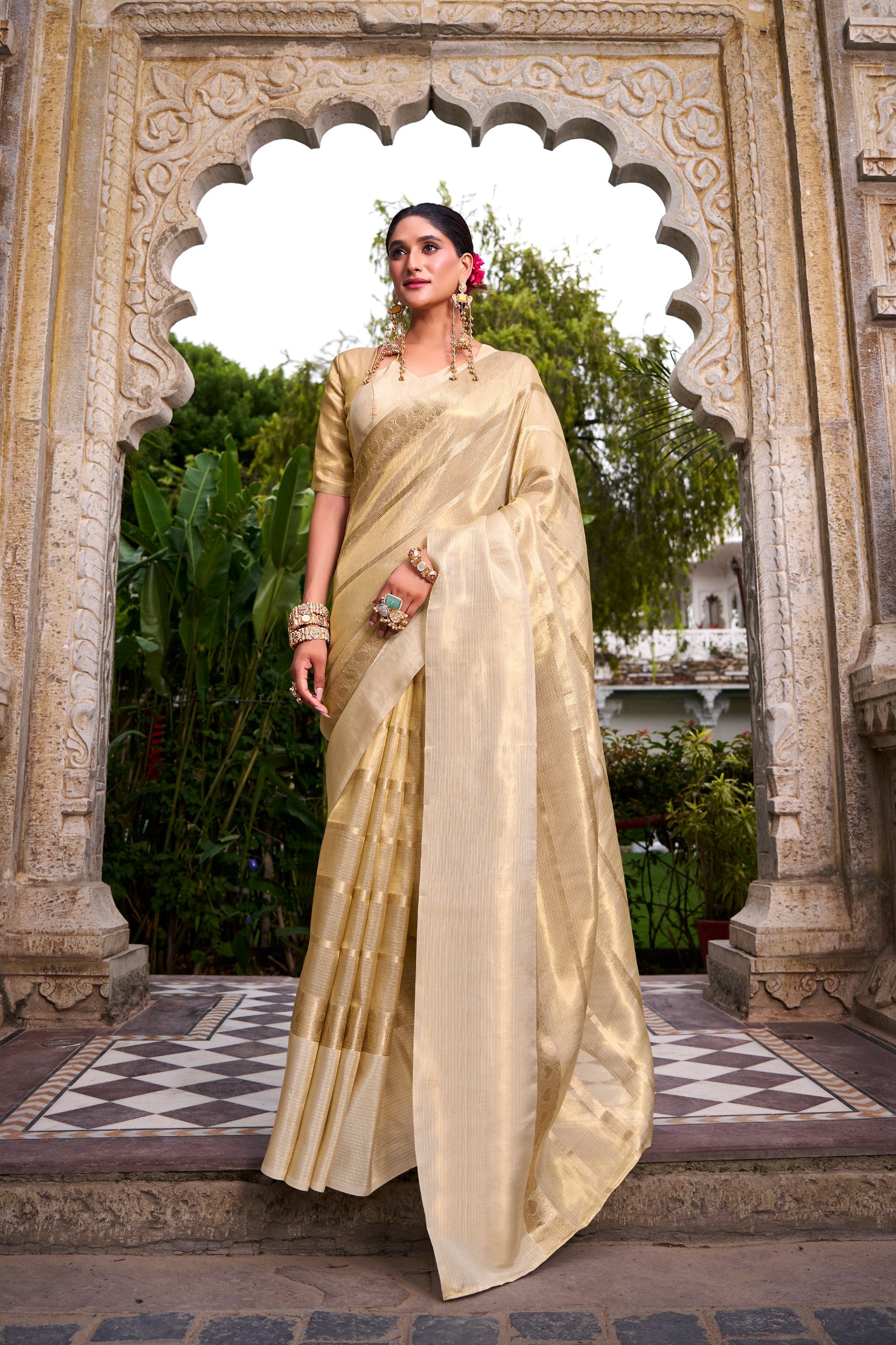 Tissue Saree