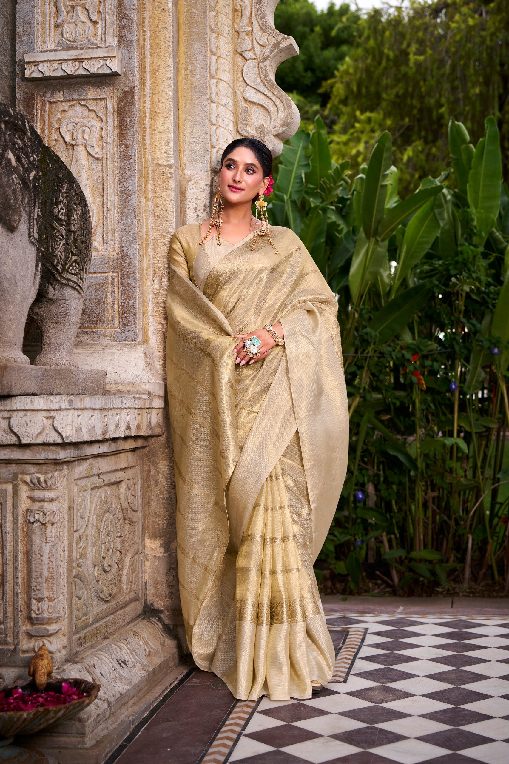 Tissue Saree