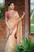 Jimmy Choo Saree