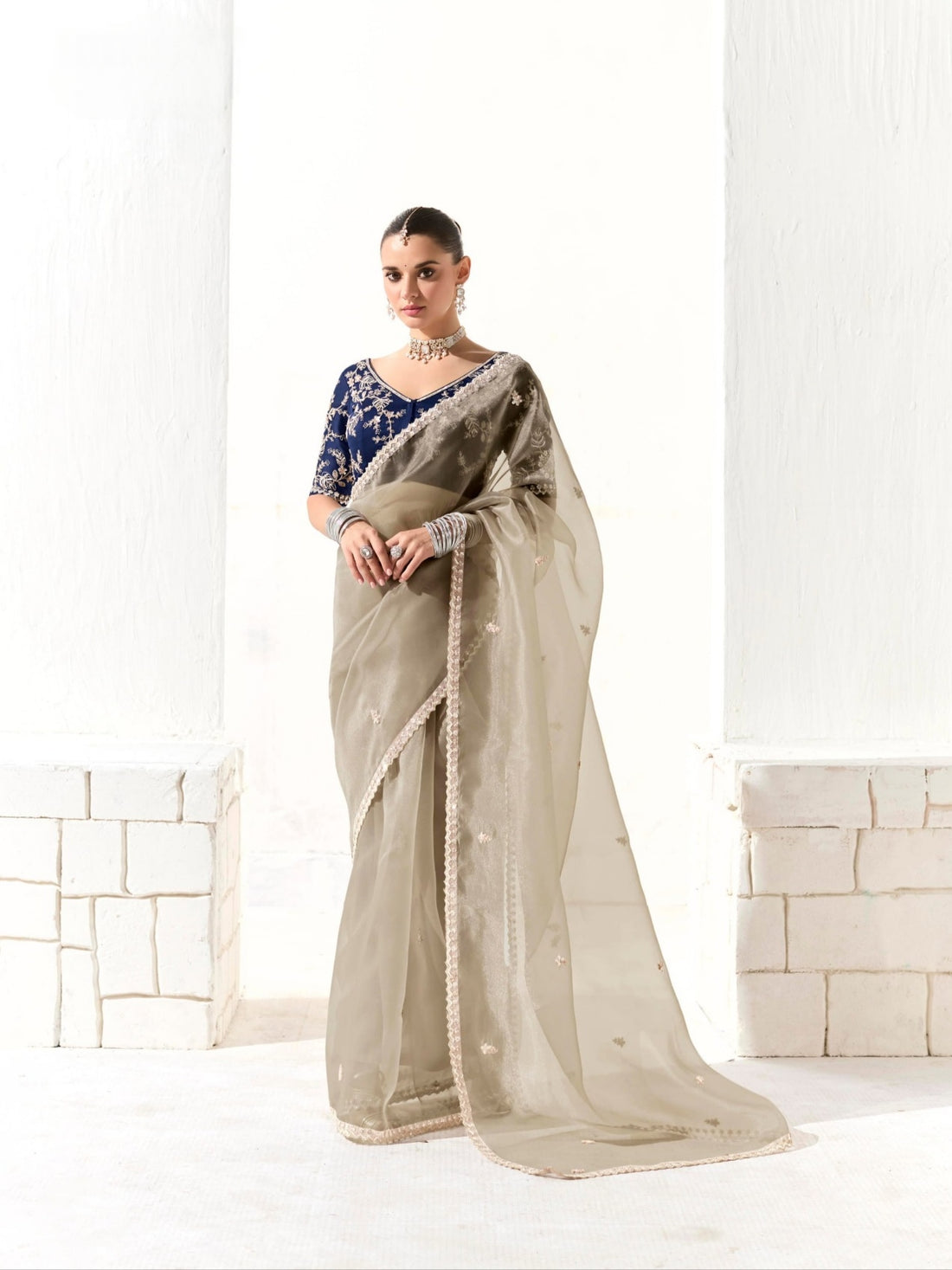 Grey Organza Tissue Saree with Heavy Embroidered Border and Designer Blouse