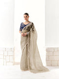 Grey Organza Tissue Saree with Heavy Embroidered Border and Designer Blouse