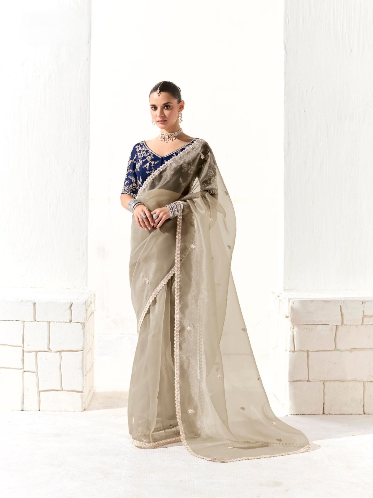 Grey Organza Tissue Saree with Heavy Embroidered Border and Designer Blouse