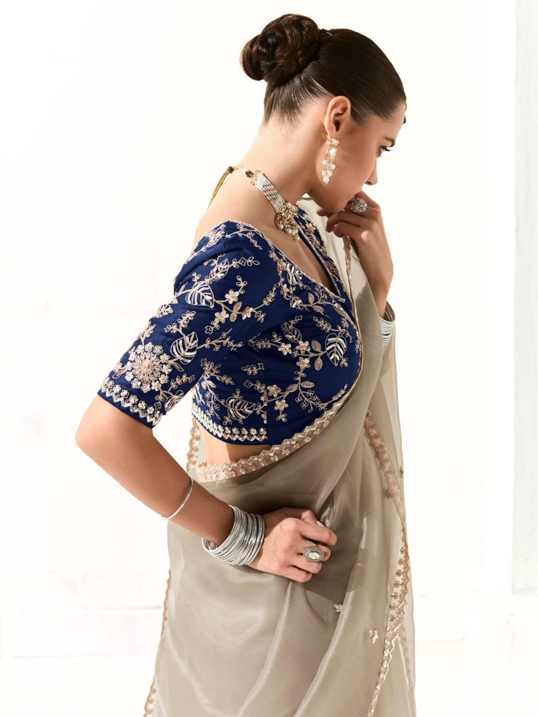 Grey Organza Tissue Saree with Heavy Embroidered Border and Designer Blouse