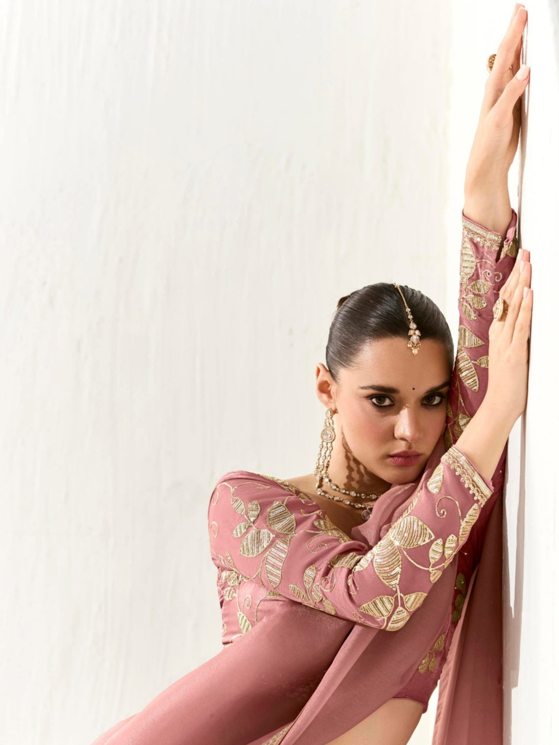 Dusty pink Organza Tissue Saree with Heavy Embroidered Border and Designer Blouse