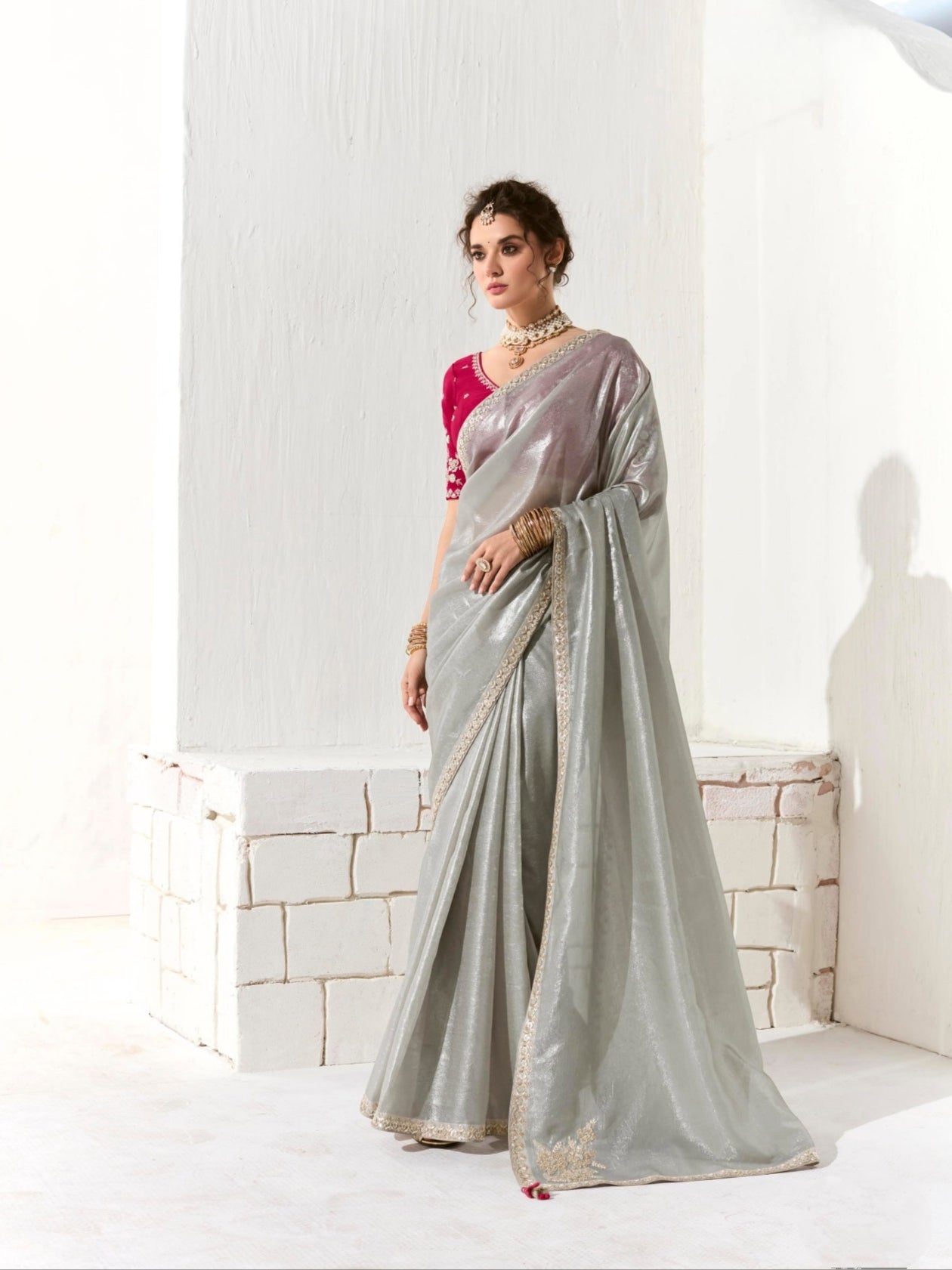 Silver Grey Organza Tissue Saree with Heavy Embroidered Border and Designer Blouse
