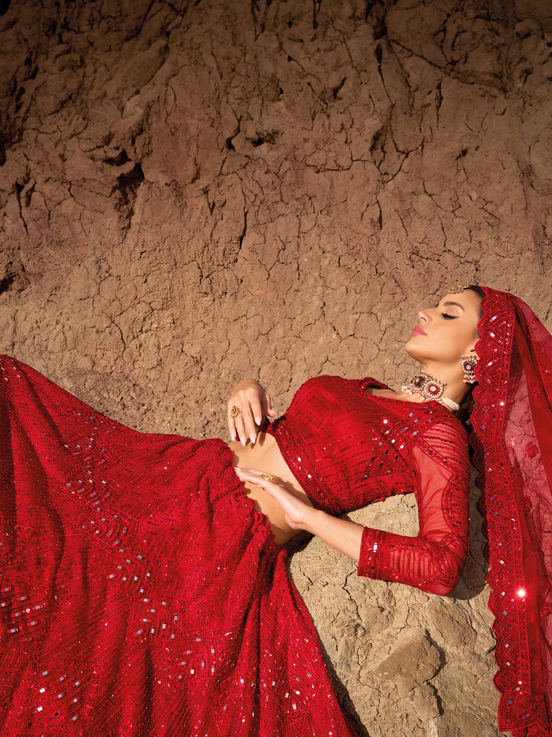 Red Pure Net Lehenga with Mirror and Zarkan Work