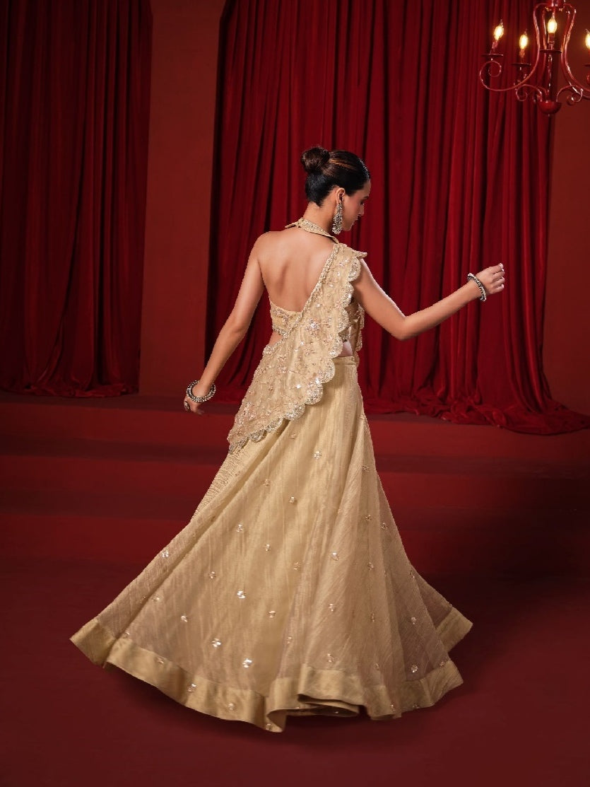 Beige Banarasi Tissue Crush Lehenga Choli with Zari & Swarovski Work