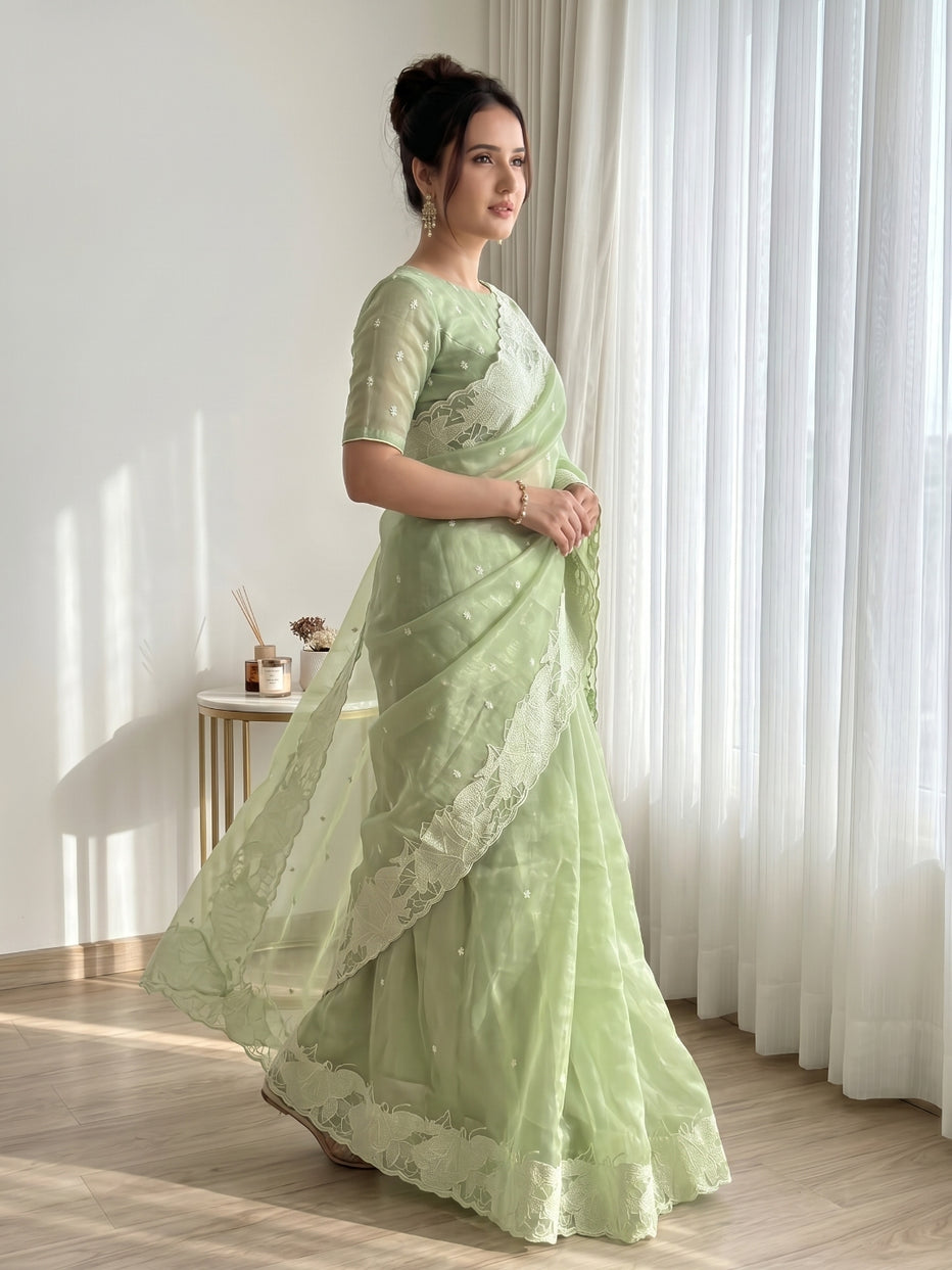 Pista Pure Organza Silk Crush Turkish Work Organza Saree
