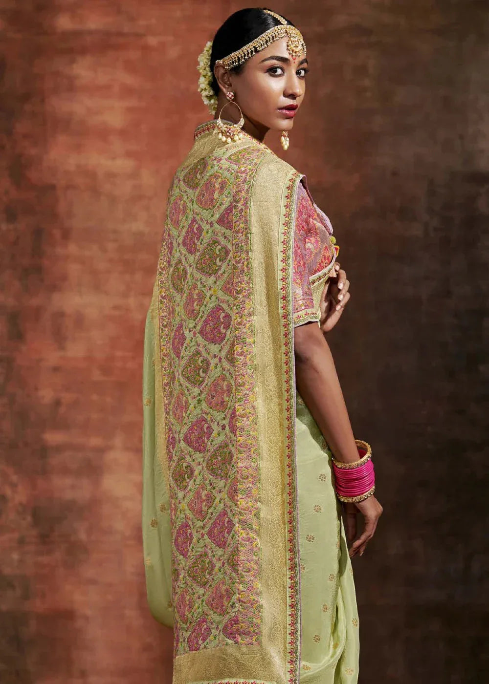 Ranisa Fancy Kashmiri Saree D.No SA-170 - Anant Exports