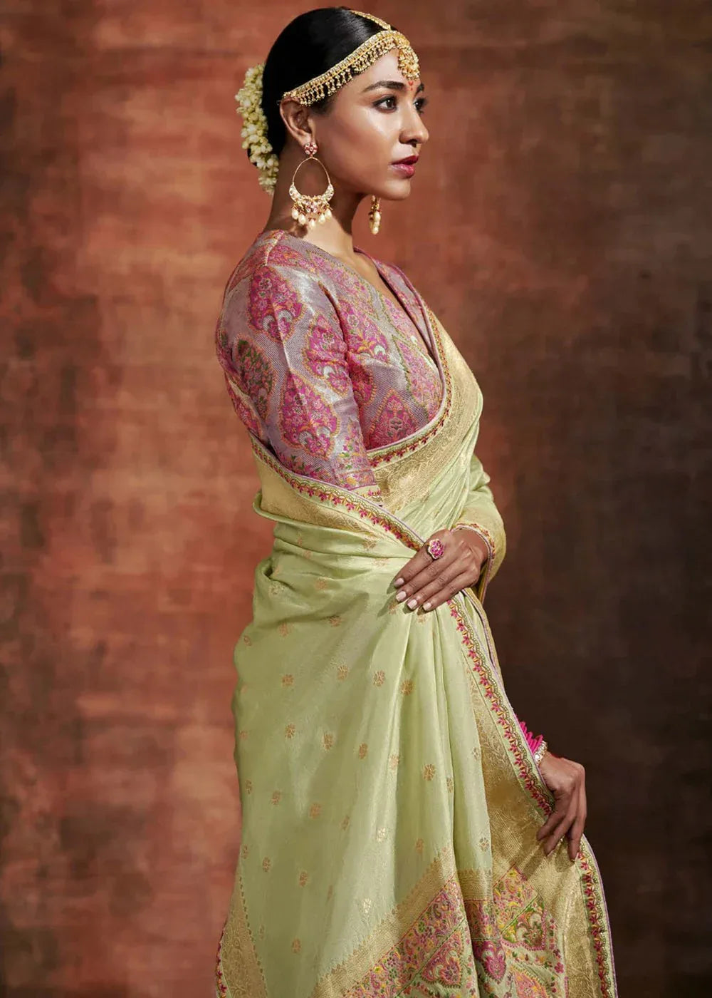 Ranisa Fancy Kashmiri Saree D.No SA-170 - Anant Exports