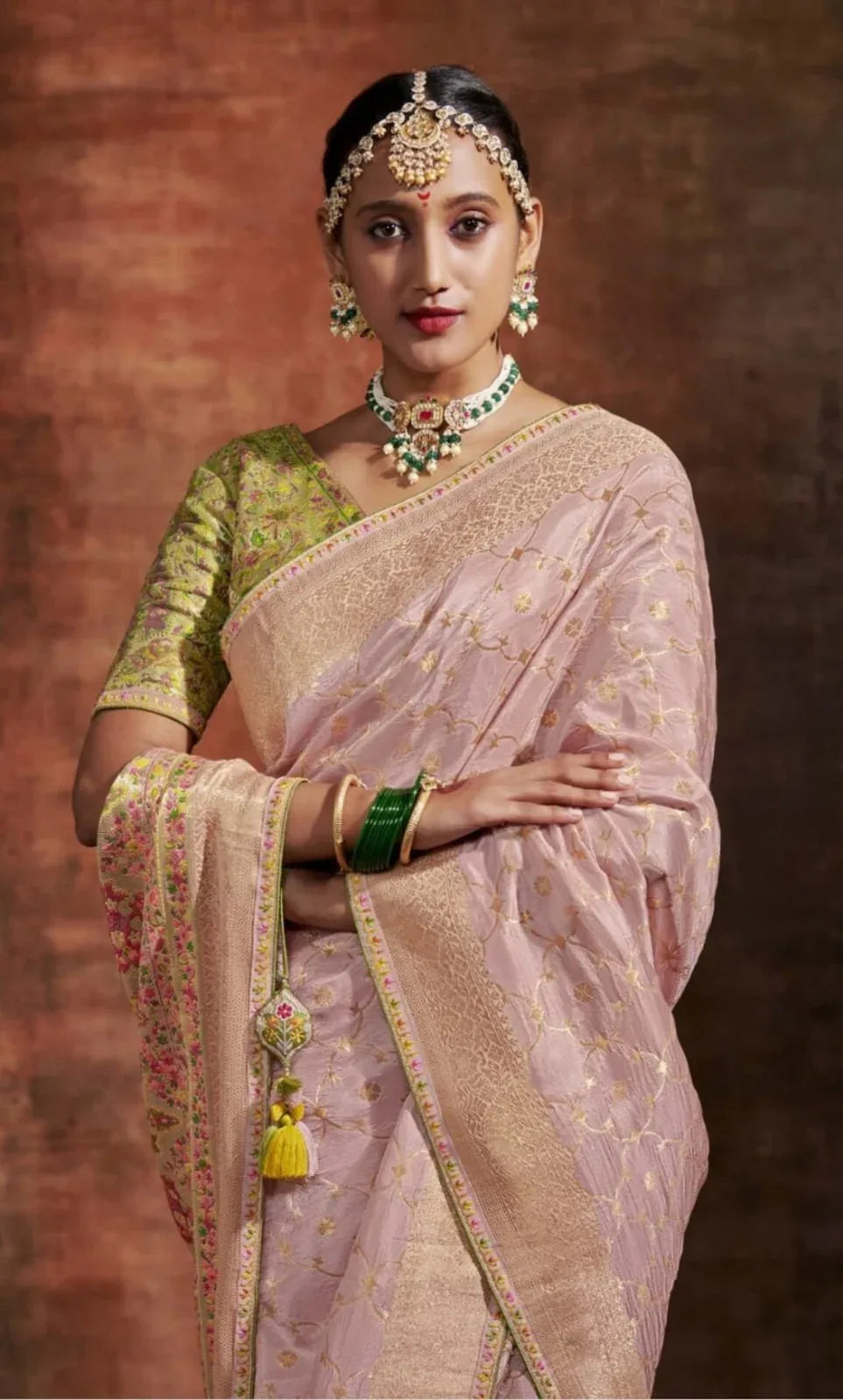 Ranisa Fancy Kashmiri Saree D.No SA-171 - Anant Exports