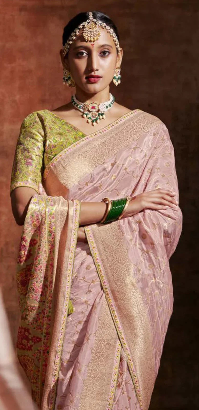 Ranisa Fancy Kashmiri Saree D.No SA-171 - Anant Exports