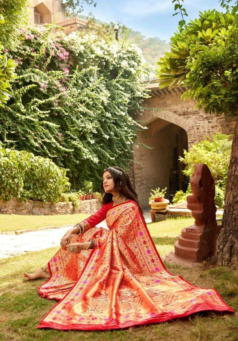 Fancy Wear Jully Paithani Saree - Anant Exports