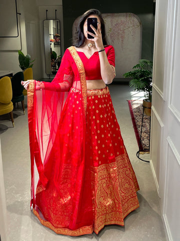 Fancy Wear Lehenga Choli D.No. 2032
