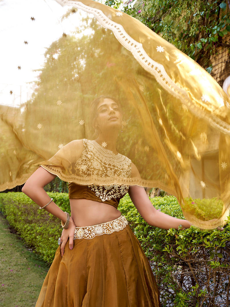 Bronze Color Embroidery Work Chaniya Choli