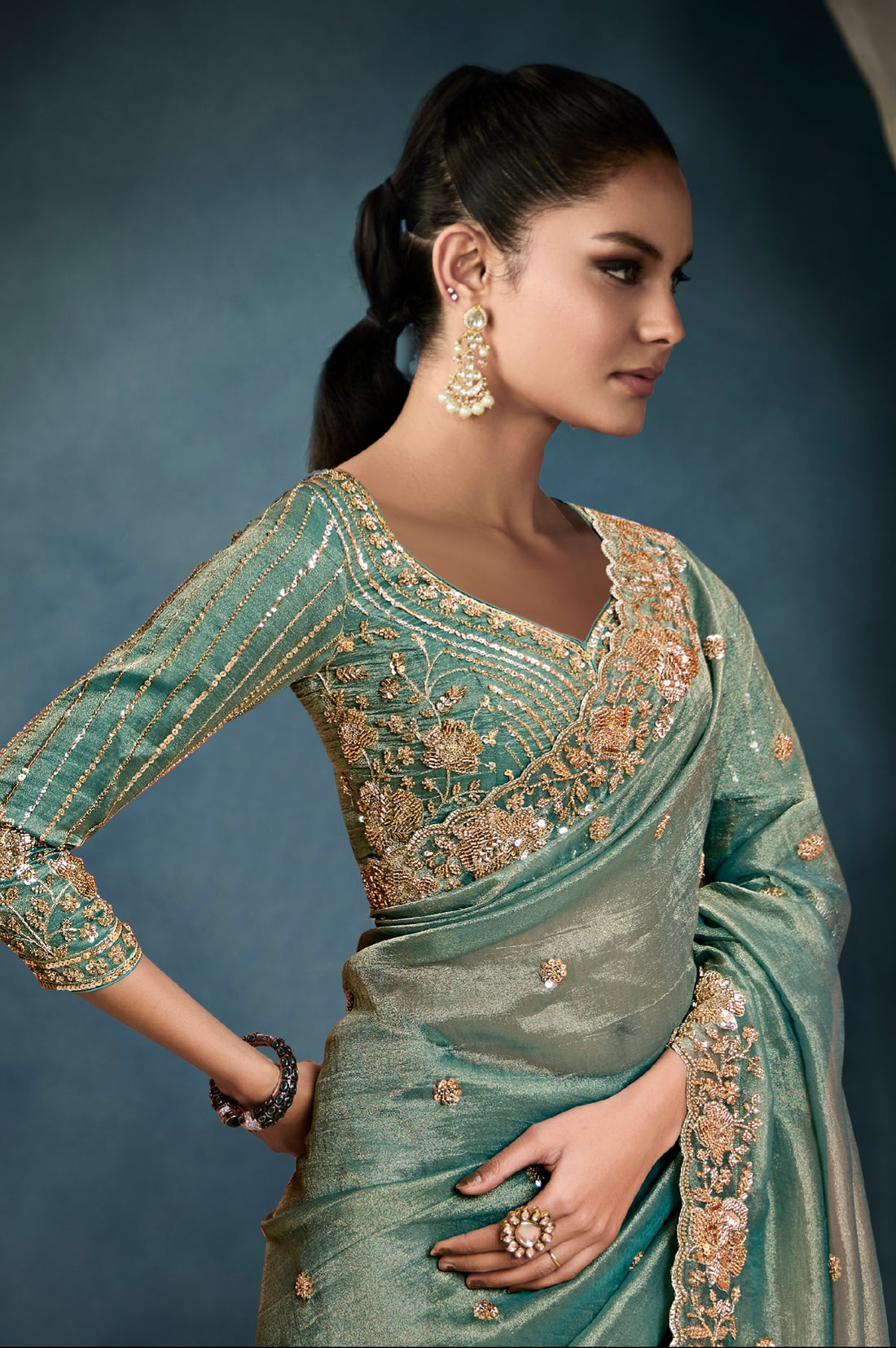 Sage green tissue saree with hand embroidery work