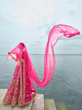 Baby Pink Elegant Bridal Lehenga with Gold Embroidery