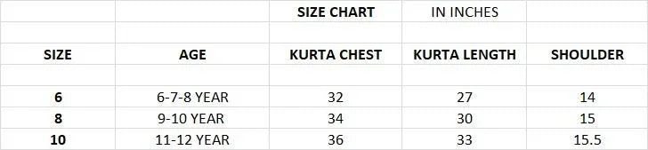 Beautiful Kids Boy Sequence Kurta Pyjama - Anant Exports