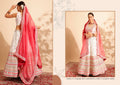 lehenga choli design for ladies