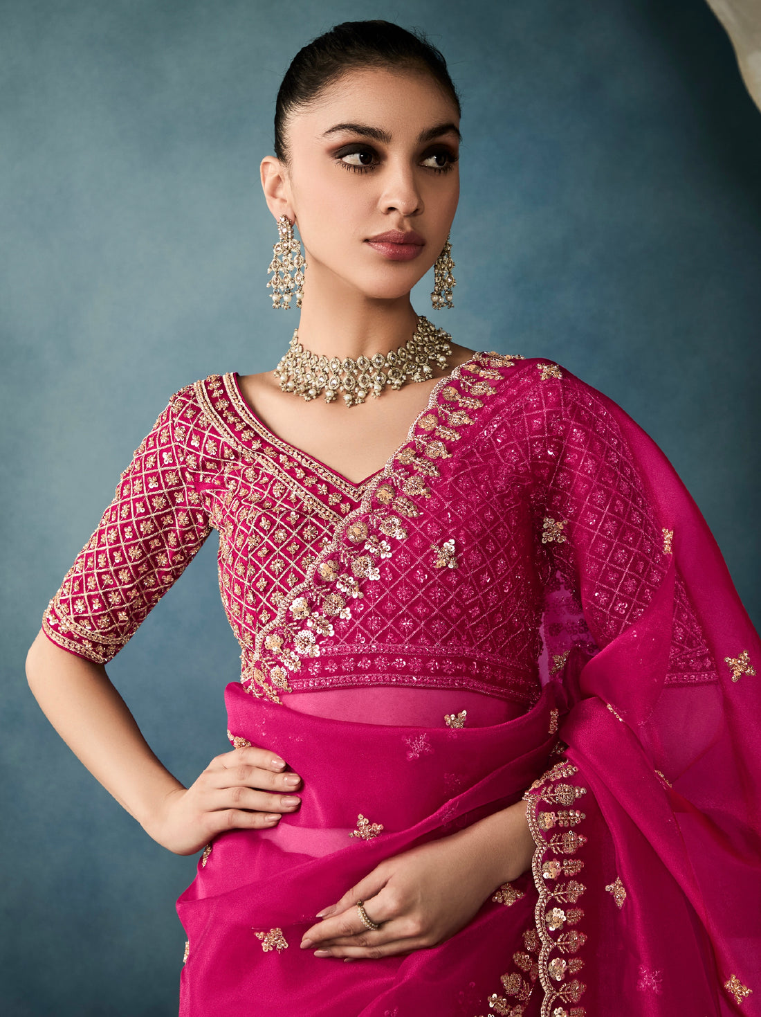 Magenta tissue saree with hand embroidery and satin blouse