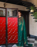 Organza saree