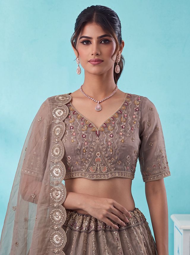 Light Brown Pure Chandnia Silk Handwork Motif Peacock Pattern Crystal Beads Multi Thread Dori & Sequins Work Bridal Lehenga Choli